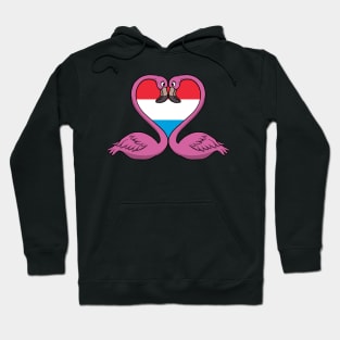 Flamingo Luxembourg Hoodie